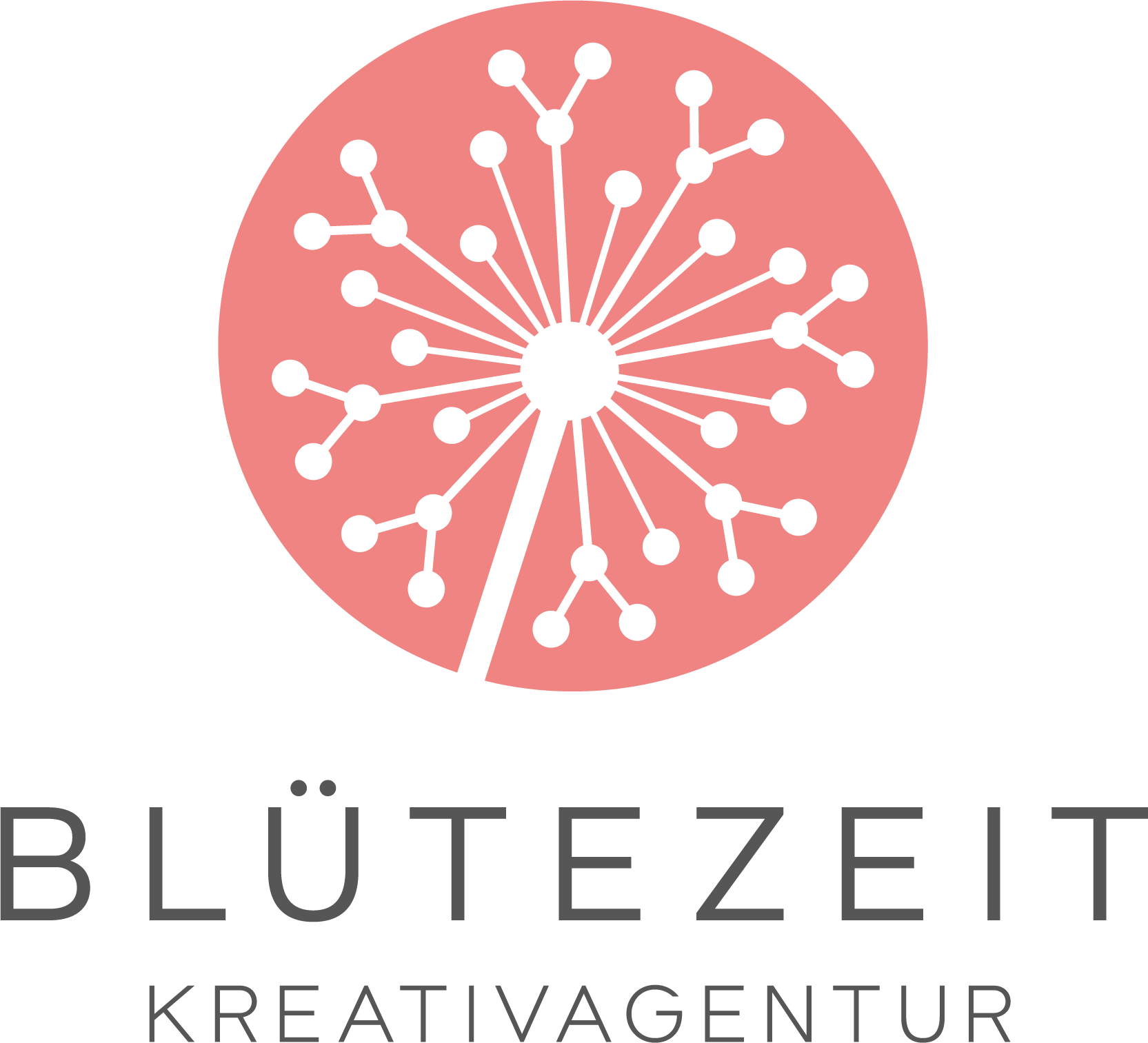 bluetezeit logo cmyk
